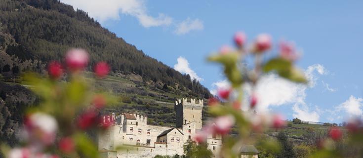 sehenswürdigkeiten-churburg-vinschgau-fb