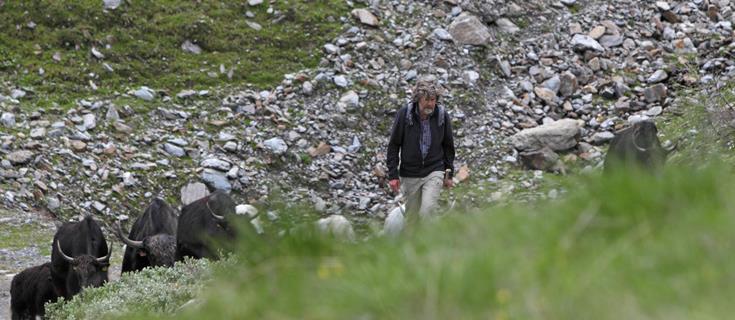 Reinhold Messner & his yaks