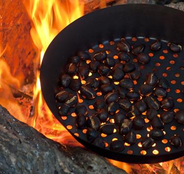 Törggelezeit in Kastelbell-Tschars