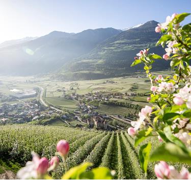 fruehling-kastelbell-idm-suedtirol-alto-adige-alexfilz-4493-300dpi