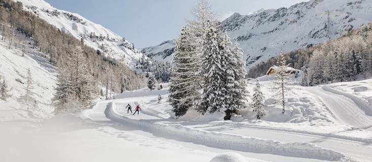 Cross-country skiing