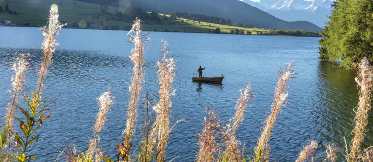 Der Haidersee