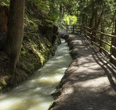 An irrigation channel path