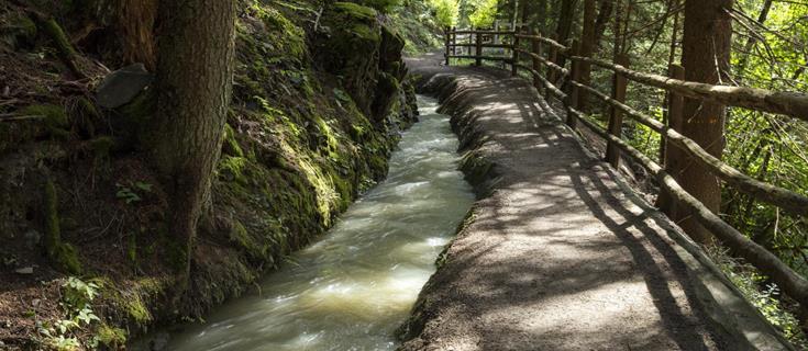 An irrigation channel path