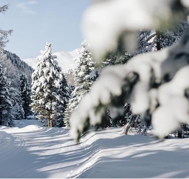 winter-winterlandschaft-vinschgau-bepf