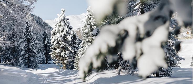 winter-winterlandschaft-vinschgau-bepf