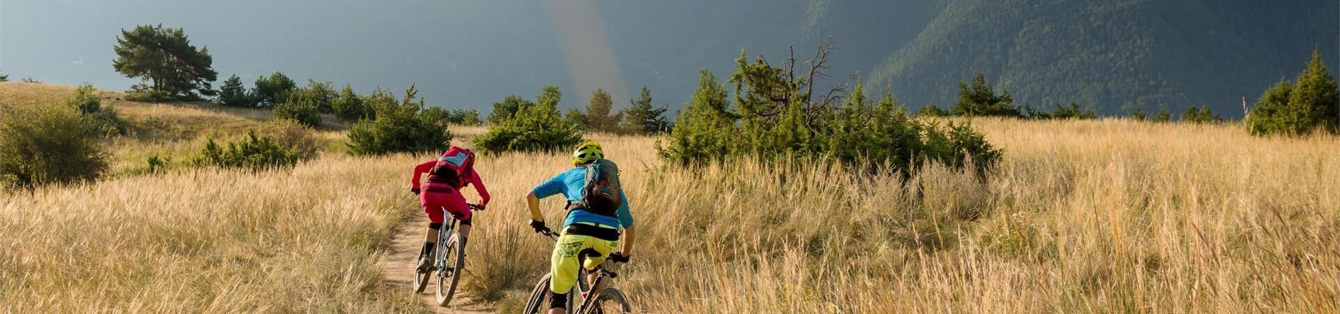 Monte di S. Anna Easy Trail Mountain Bike Trails in Laces in