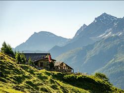 Upper Stelvio pasture