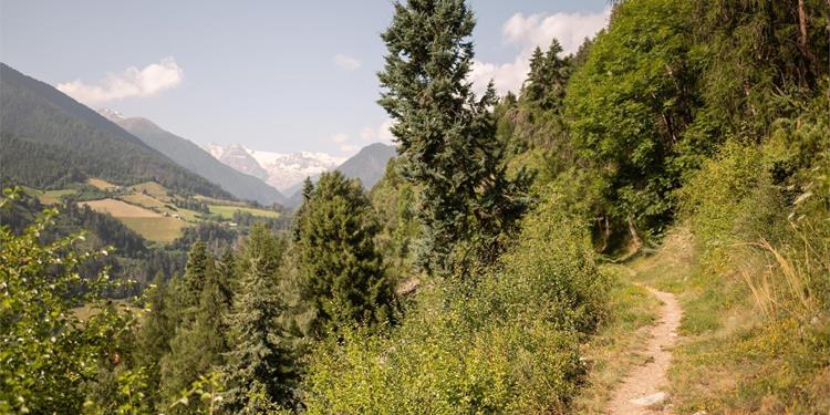 „Agumser Bergwaal“ irrigation channel path