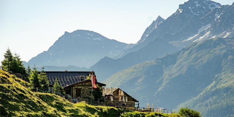 Upper Stelvio pasture