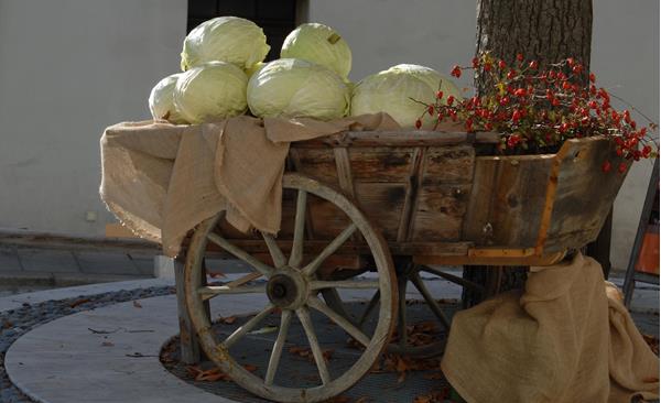 kosten-genießen-kraut-holzwagen-schlanders-laas-gb