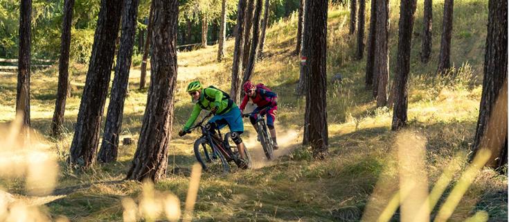 Mountainbiken im Wald