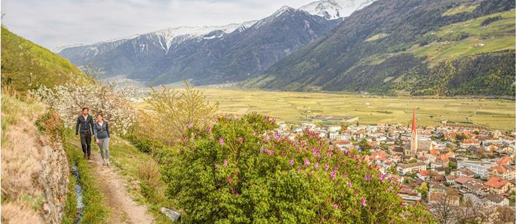 patrick-schwienbacher-schlanders-waal-ilswaal-blüte-spa-7764